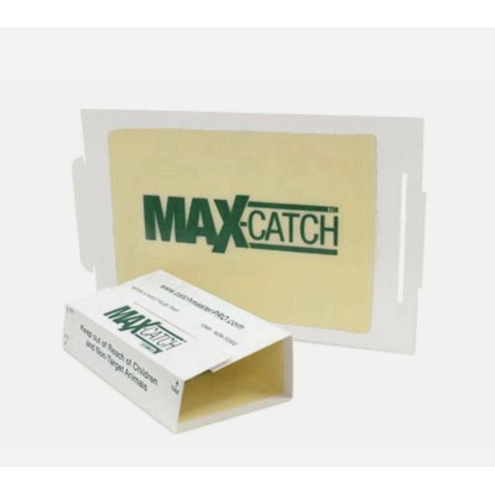 Catchmaster Max Catch 36 Mouse and Insect Glue Boards Pest Control Mouse Trap